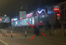 video.-interventie-in-urma-prezentei-unui-urs-in-centrul-municipiului-toplita!