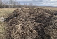 rusia-si-china-restrictioneaza-exporturile-de-ingrasaminte,-iar-presiunea-pe-piata-creste-inclusiv-pentru-romania