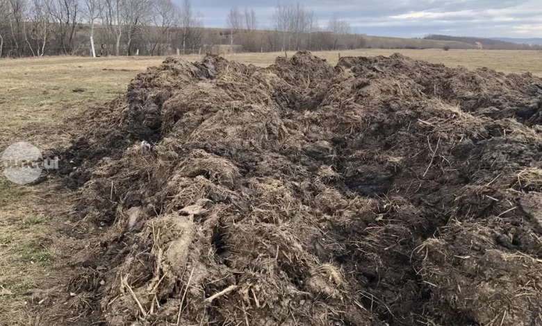 rusia-si-china-restrictioneaza-exporturile-de-ingrasaminte,-iar-presiunea-pe-piata-creste-inclusiv-pentru-romania