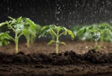 acces-la-irigatii-pentru-100-de-fermieri-din-judetul-covasna