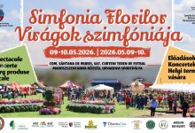 targul-de-flori-de-la-santana-de-mures:-2-zile-de-culoare,-folclor-si-activitati-pentru-copii,-pe-9–10-mai