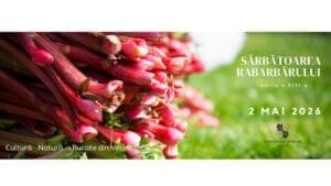 incasarile-de-la-sarbatoarea-rabarbarului-din-saschiz-vor-finanta-cantina-comunitara-‘bucate-din-vecinatate’