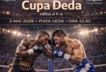 pugilisti-de-la-11-cluburi-la-cupa-deda-la-box