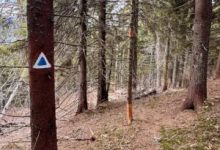 salvamontistii-harghiteni-au-inceput-lucrarile-de-intretinere-pe-traseele-turistice