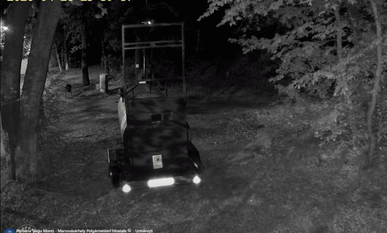 urs-capturat-la-platoul-cornesti