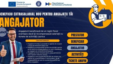 angajatorii-pot-acorda-beneficii-suplimentare-salariatilor-prin-tichetele-de-activiti-casnice