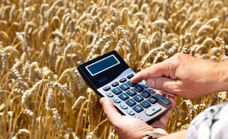 918-milioane-de-lei-pentru-crescatorii-de-bovine,-ovine-si-caprine,-plus-culturi-vegetale