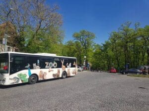 curse-speciale-de-autobuz-spre-zonele-de-agrement-din-targu-mures,-in-perioada-1–3-mai