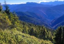 proiect-de-cartare-a-zonelor-in-care-dezvoltarea-parcurilor-energetice-poate-afecta-habitatele