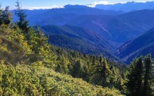 proiect-de-cartare-a-zonelor-in-care-dezvoltarea-parcurilor-energetice-poate-afecta-habitatele