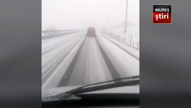 iarna-s-a-intors-in-forta:-zapada-si-temperaturi-de-inghet.-cum-va-fi-vremea-de-1-mai!