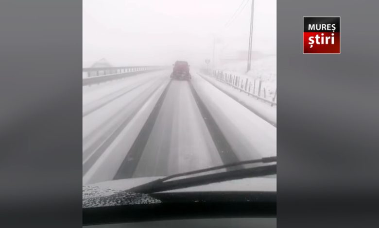 iarna-s-a-intors-in-forta:-zapada-si-temperaturi-de-inghet.-cum-va-fi-vremea-de-1-mai!