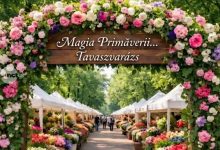 festivalul-magia-florilor-revine-in-2026-cu-doua-editii,-primavara-si-toamna