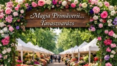 festivalul-magia-florilor-revine-in-2026-cu-doua-editii,-primavara-si-toamna