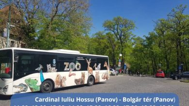 linii-speciale-de-autobuze,-catre-platoul-cornesti-din-targu-mures