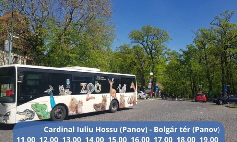 linii-speciale-de-autobuze,-catre-platoul-cornesti-din-targu-mures