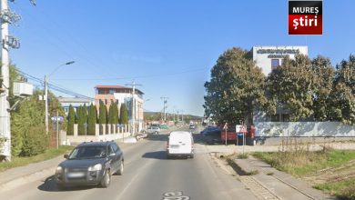 revolta-in-livezeni:-sute-de-cetateni-cer-o-statie-de-autobuz,-primaria-ignora-solicitarile-oficiale!