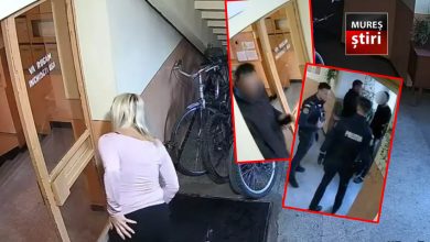 caz-ireal-in-mures:-judecatoria-si-procurorul-au-ignorat-probele-unei-agresiuni-filmate-intr-o-familie-cu-6-copii!