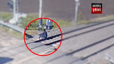 video.-barbat-spulberat-de-tren-sub-privirile-camerelor-de-supraveghere,-in-judetul-vecin!