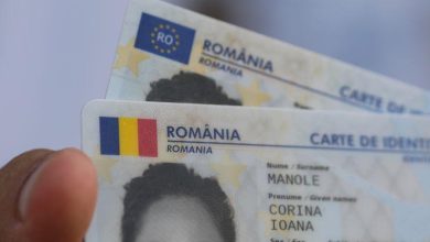 buletinul,-permisul-si-diplomele,-pe-telefon.-guvernul-pregateste-portofelul-digital-european