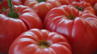 producatorii-de-rosii,-ardei-si-castraveti-din-sere-primesc-sprijin-de-1,5-euro/mp-de-la-guvern