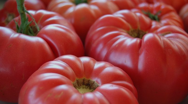 producatorii-de-rosii,-ardei-si-castraveti-din-sere-primesc-sprijin-de-1,5-euro/mp-de-la-guvern