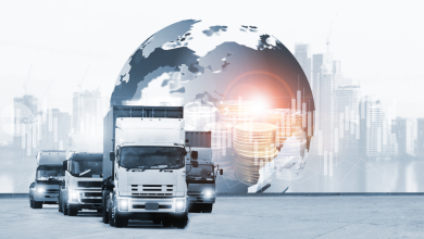 ro-e-transport-poate-genera-amenzi-de-20.000-de-lei-pentru-firme-fara-prejudiciu-fiscal,-atrage-atentia-o-avocata
