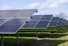 ordonanta-inaintea-motiunii-de-cenzura.-se-permite-concesionarea-prin-licitatie-a-terenurilor-agricole-pentru-noi-proiecte-de-energie-regenerabila