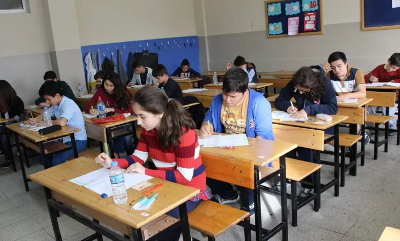 finantarea-scolilor:-guvernul-a-stabilit-sumele-per-elev-pentru-unitatile-de-stat-sau-private-fara-taxa