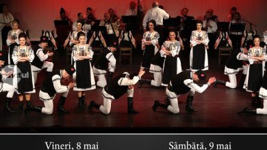 ansamblul-muresul-duce-folclorul-romanesc-la-viena-cu-doua-spectacole-date-de-ziua-europei
