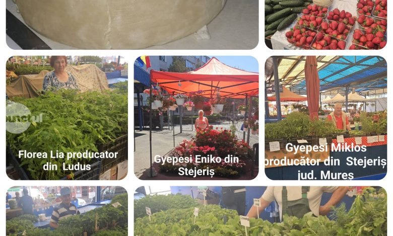 vrei-sa-mananci-sanatos?-nu-rata-oferta-din-pietele-muresene