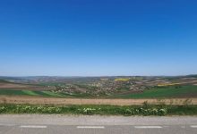 referendum-local-privind-incetarea-mandatului-primarului-comunei-sanger