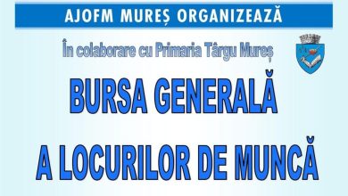 419-locuri-de-munca-vacante-declarate-pentru-bursa-generala-a-locurilor-de-munca-pana-in-acest-moment