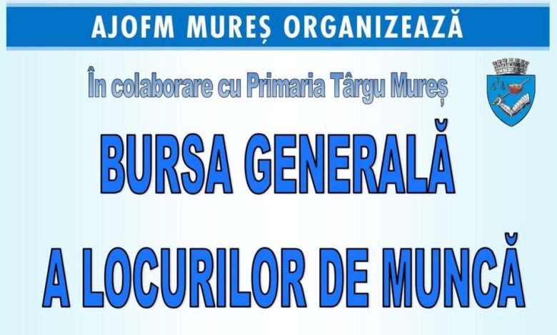 419-locuri-de-munca-vacante-declarate-pentru-bursa-generala-a-locurilor-de-munca-pana-in-acest-moment