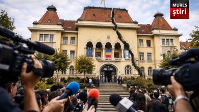 cutremur-la-primaria-targu-mures:-cum-a-ajuns-un-director-fara-vechime-legala-sa-„garanteze”-legea-in-oras!