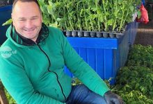 producatorii-locali-aduc-primavara-in-piata-cuza-voda-din-targu-mures