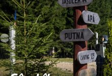 via-transilvanica-a-primit-tripadvisor-traveler’s-choice-award-si-a-intrat-in-top-10%-experiente-de-calatorie-din-lume!