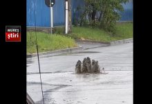 reghin:-„nesimtiti-si-incompetenti!”-–-administratia-locala,-pusa-la-zid-de-o-locuitoare-de-pe-strada-apalinei!
