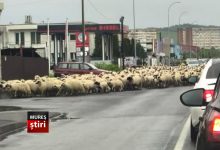 bravo,-comuna-targu-mures,-„smart-city”-sau-transhumanta-urbana?