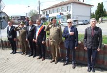 primaria-ludus-a-marcat-ziua-independentei-nationale-a-romaniei
