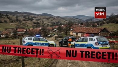 alerta-maxima:-focar-de-variola-ovina-si-caprina-confirmat-in-judetul-mures!