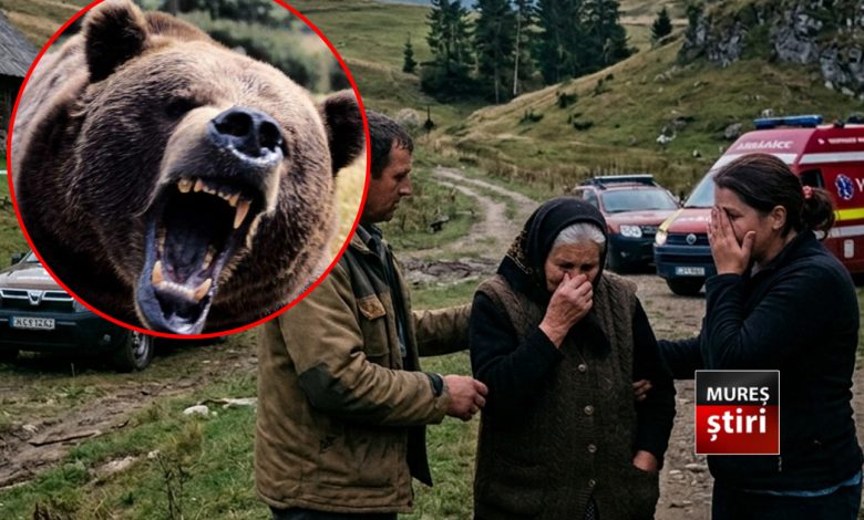 tragedie:-o-femeie-atacata-si-ucisa-de-urs,-localnicii-traiesc-sub-teroare,-in-bn!