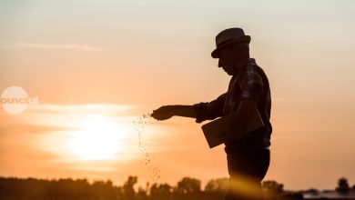 aei:-romania-risca-sa-ramana-exportator-de-gaze-si-importator-de-fertilizanti-fara-o-strategie-industriala