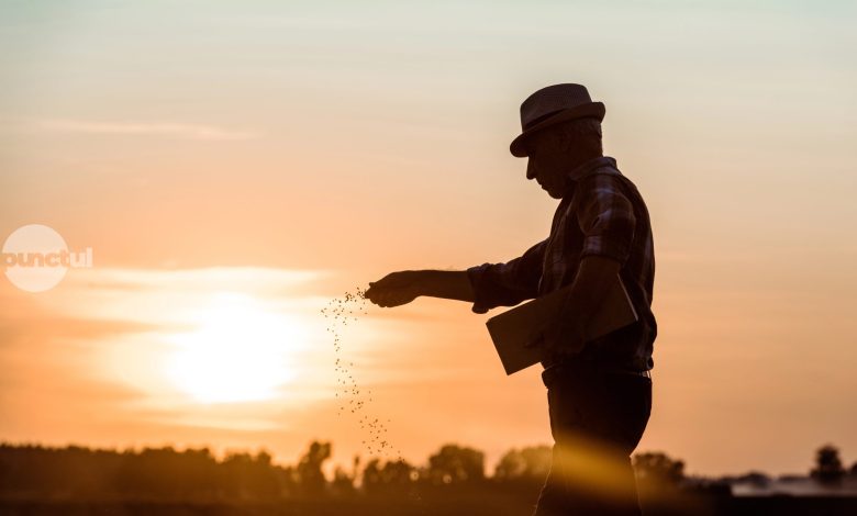 aei:-romania-risca-sa-ramana-exportator-de-gaze-si-importator-de-fertilizanti-fara-o-strategie-industriala