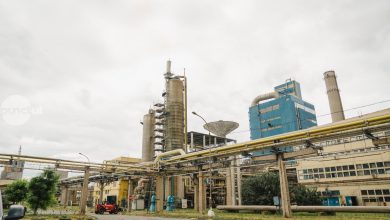 senatul-aproba-in-prima-etapa-facilitati-fiscale-pentru-industria-chimica,-cu-miza-directa-pentru-romgaz-si-azomures