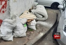 nesimtire-fara-limite:-ei-sunt-„campionii”-mizeriei-din-targu-mures,-taxati-dur-de-politia-locala!