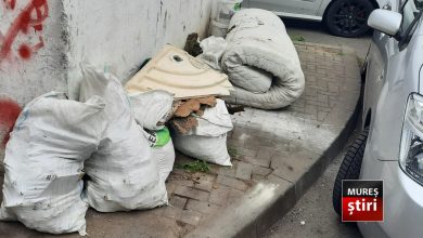 nesimtire-fara-limite:-ei-sunt-„campionii”-mizeriei-din-targu-mures,-taxati-dur-de-politia-locala!