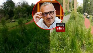 video.-dezastru-sub-„semnatura”-lui-horatiu-lobont:-“cel-mai-modern-parc”-din-targu-mures,-transformat-in-„pasune”-pentru-vite-si-oi!