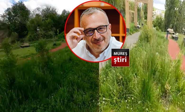 video.-dezastru-sub-„semnatura”-lui-horatiu-lobont:-“cel-mai-modern-parc”-din-targu-mures,-transformat-in-„pasune”-pentru-vite-si-oi!