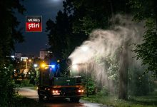 targu-mures:-dezinsectie-generala-in-municipiu-in-aceasta-noapte!